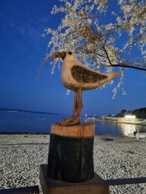 Larus
